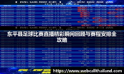 东平县足球比赛直播精彩瞬间回顾与赛程安排全攻略